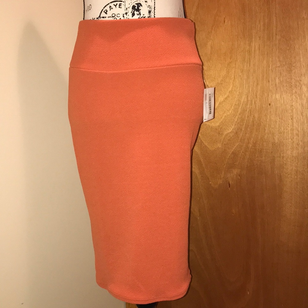 NWT LuLaRoe Cassie Skirt
